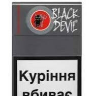 Black Devil -  Cacao  (Grey) Box - Rabbit Habit 