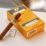 Cohiba Short